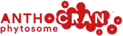 logo-anthocran